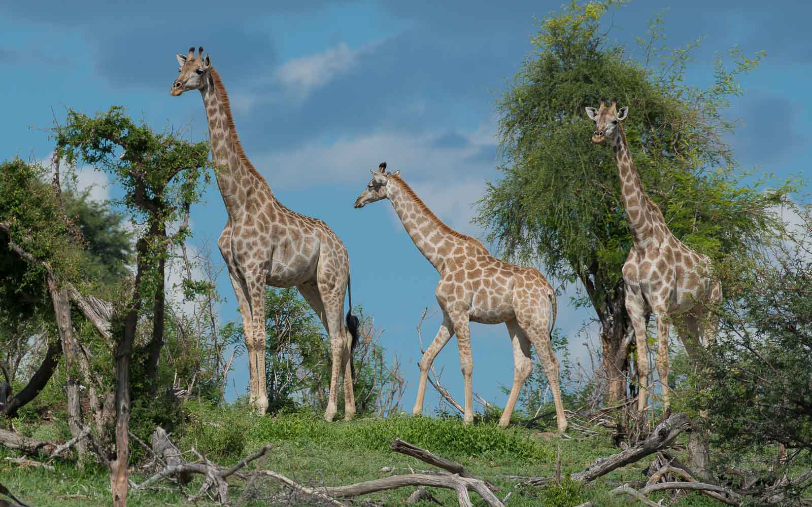 Die Natur wartet auf dich